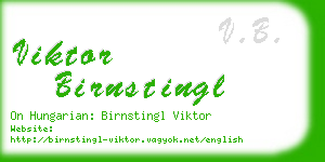 viktor birnstingl business card